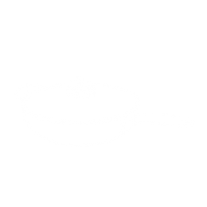Wok series