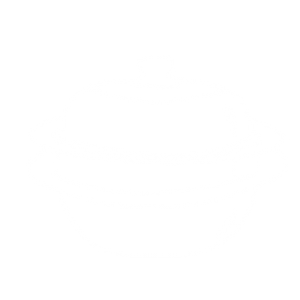Steamer series